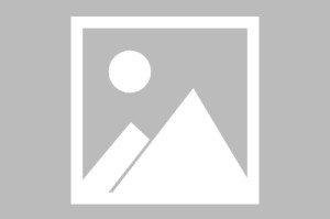 乐鱼app-廊坊市“奔跑吧·少年”足球赛开赛|青少年足球|体育|赛事|球员|传球